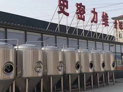 昆明精酿啤酒设备厂—市场规模与跨界新需求
